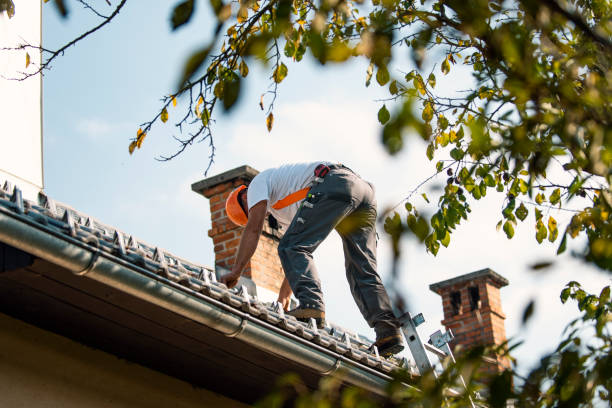 Best Roof Leak Repair  in Lima, OH